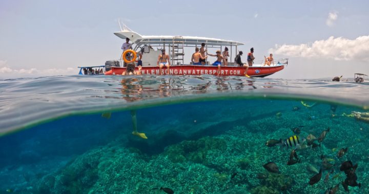 Snorkeling Nusa Lembongan Nusa Lembongan Snorkeling Trips Crystal Bay Snorkeling Manta Ray Snorkeling Nusa Lembongan Nusa Lembongan Marine Life Best Snorkeling Spots Nusa Lembongan Snorkeling Adventure Nusa Lembongan Nusa Lembongan Island Snorkeling Snorkeling Mola Mola Nusa Lembongan Nusa Lembongan Snorkeling Tour Nusa Lembongan Snorkeling Package