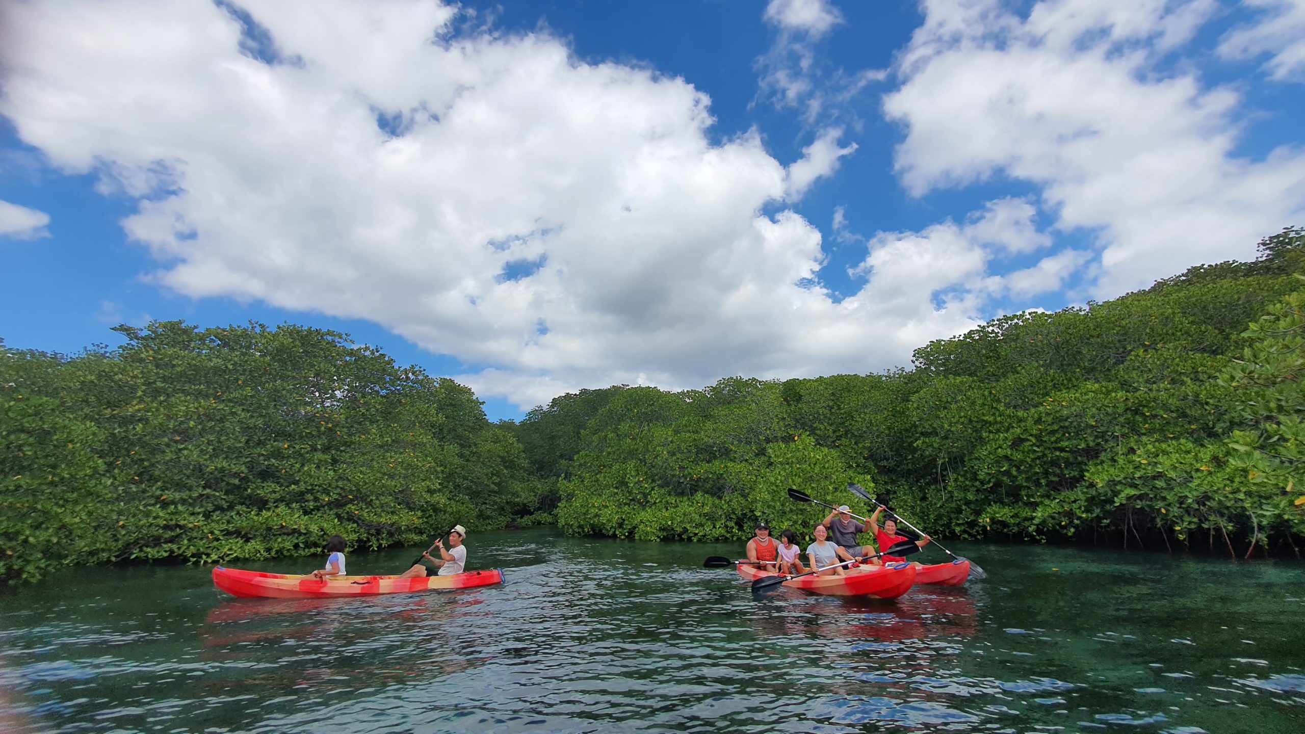 Lembongan Mangrove