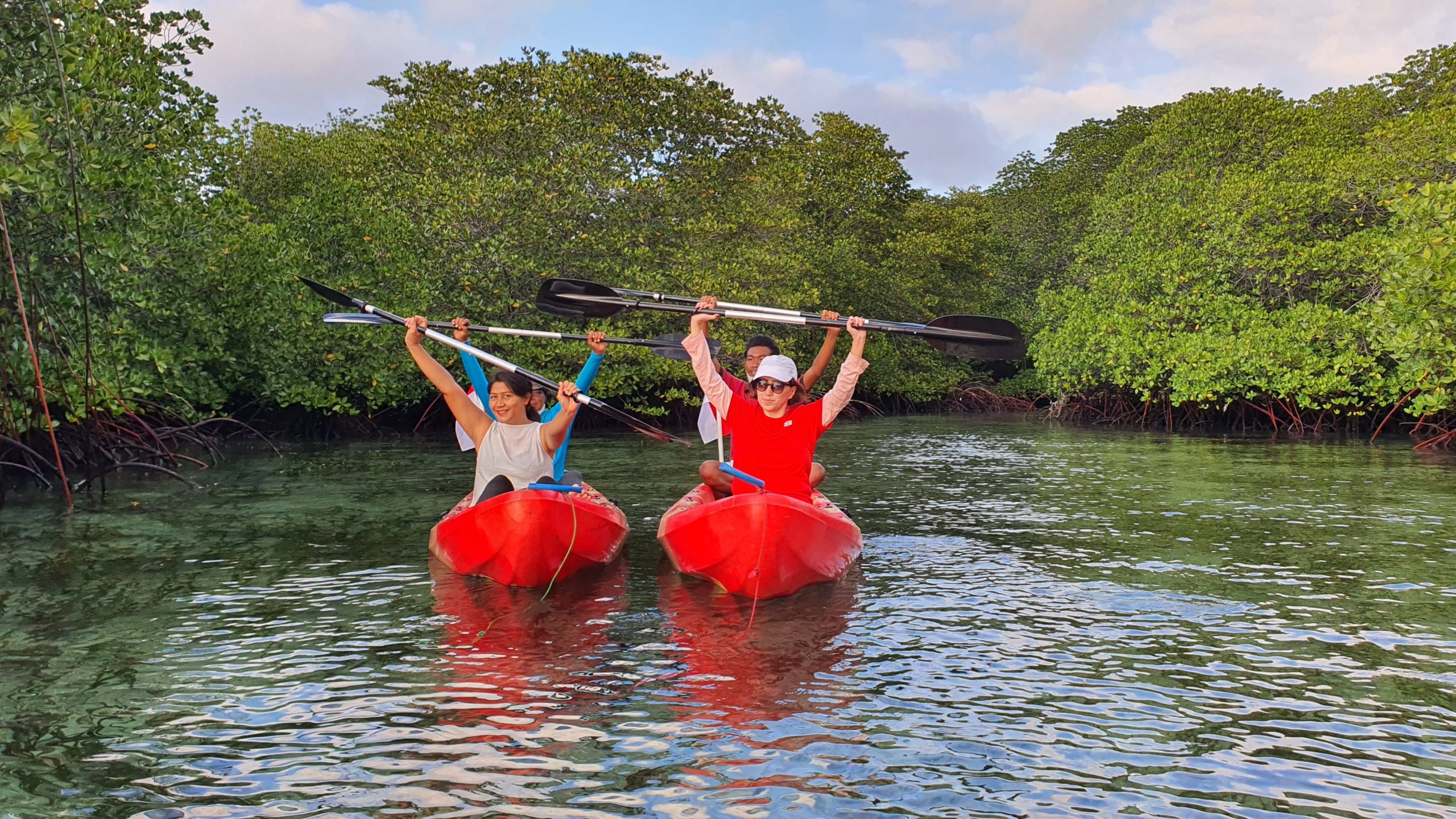 mangrove kayaking