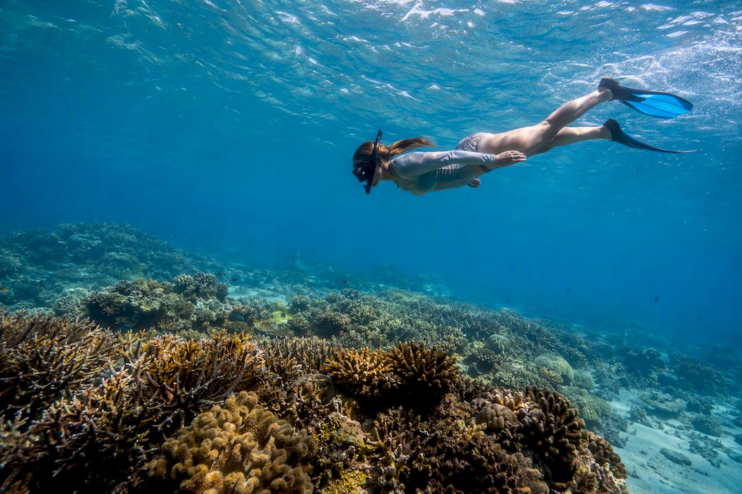 Snorkeler keeping distance above coral reef