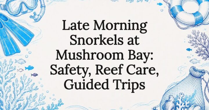 Decorative Mushroom Bay snorkeling title card