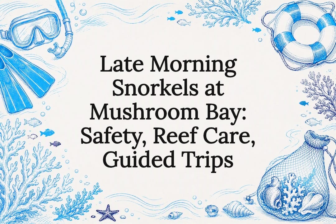 Decorative Mushroom Bay snorkeling title card